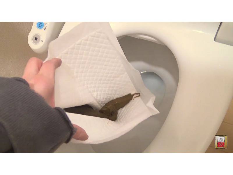 数日間に渡る密着撮影&自画撮り 山本ひかるちゃんの自宅うんこ2　サンプル画像20